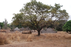 janvier-2011-kedougou-030