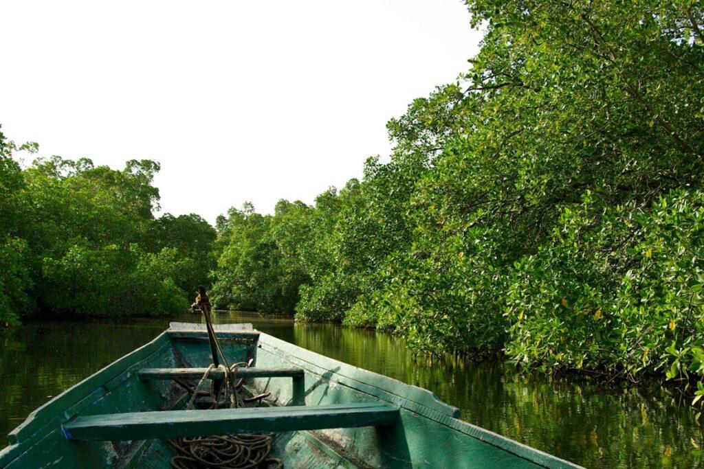 casamance