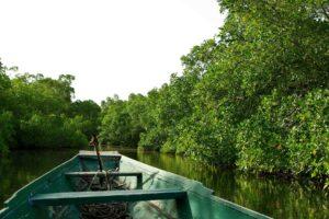 casamance